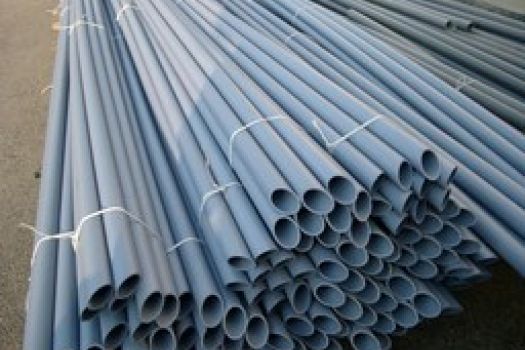 cat image 1601301385 2 2dd8a85f