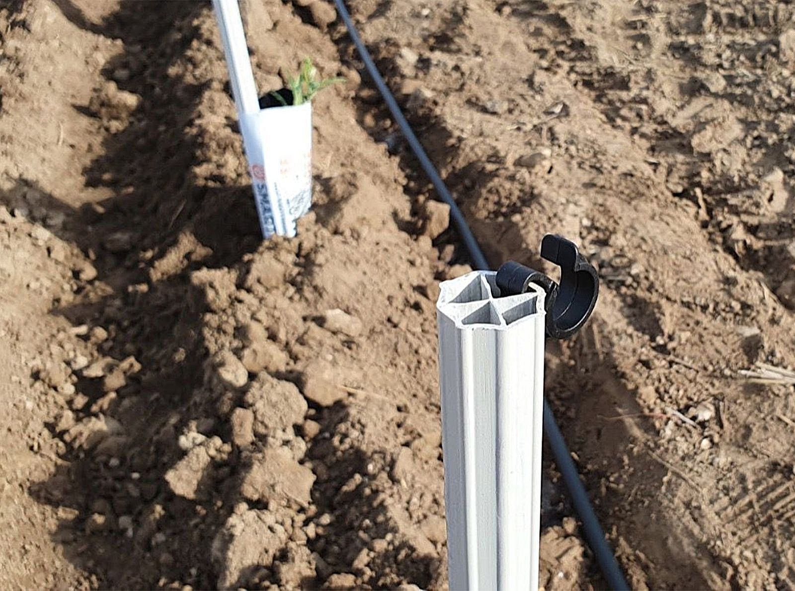 1001067549 1 5861028e