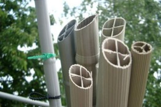 cat image 1601301385 1 da0841ad