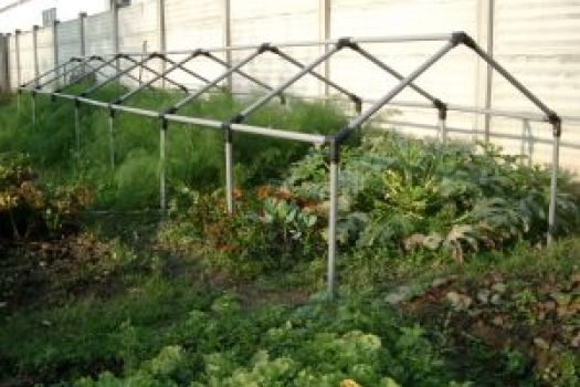 cat image 1601301385 4 f92a7982